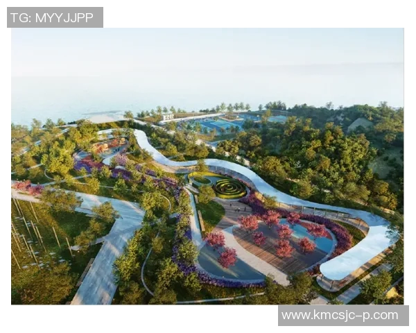 极限运动战术探讨西安极限运动队边路渗透体系的创新与实践