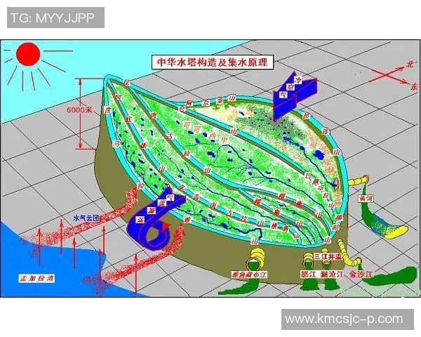武汉极限运动队速度表现分析及其对训练策略的影响探讨 武汉极限运动队速度表现分析及其对训练策略的影响探讨