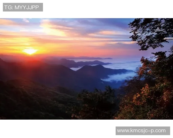 王丽的攀岩人生:在高峰与深渊之间的深度对话与心灵探索 王丽的攀岩人生:在高峰与深渊之间的深度对话与心灵探索