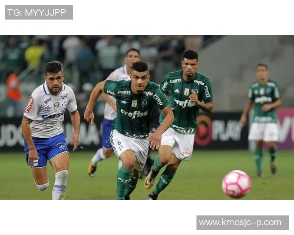 帕梅拉斯与科林蒂安激战正酣谁将赢得这场巴西足球盛宴